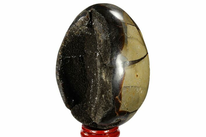 Septarian Dragon Egg Geode - Black Crystals #118766